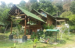 打造我的世界乡村小屋，从设计到完工的温馨之旅