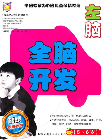 郴州全脑开发加盟品牌推荐