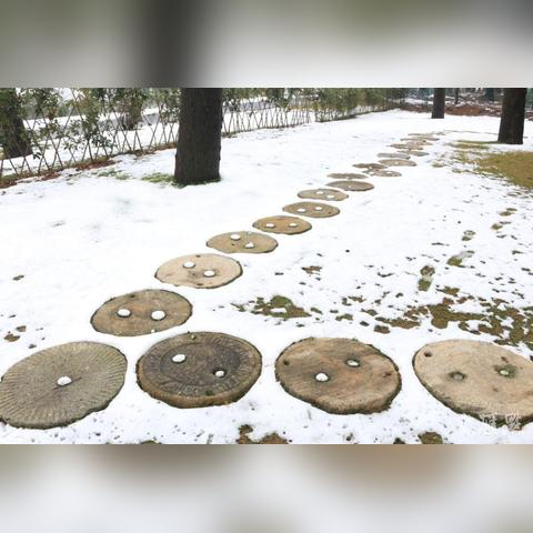乡村振兴在基层政府的扎根之路—实践与思考