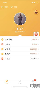专人帮人追回黑平台资金是真的吗？