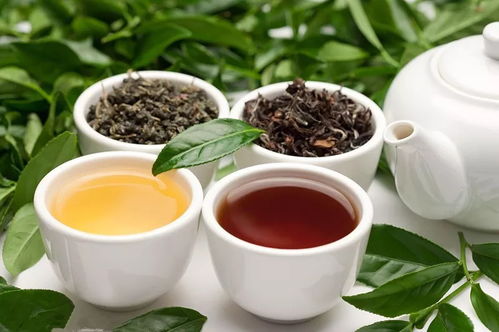 品味武夷红茶，探寻优质红茶品牌之旅