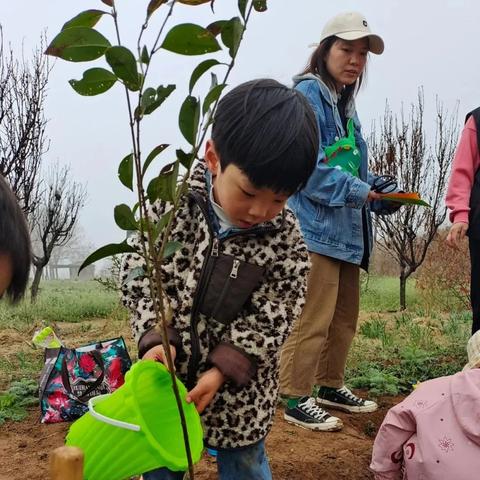 加盟青海西宁托育早教，开启孩子成长新篇章