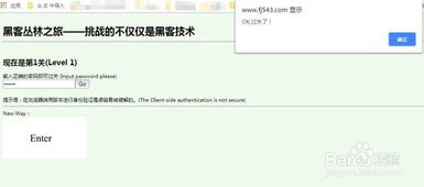 黑客联系方式的搜索之旅
