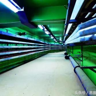 智慧管廊建设中的数据库选择与应用