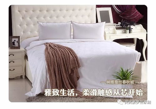 嘉定区鸭绒被价格大揭秘，品质与价格的完美平衡！