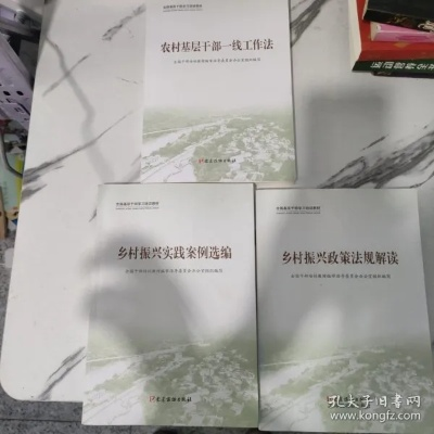 如何成为一名优秀的乡村振兴干部—实战指南与案例分析
