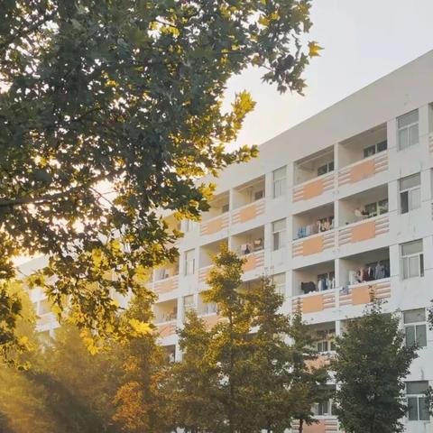 网上查酒店住宿记录查询 网上查酒店住宿记录查询