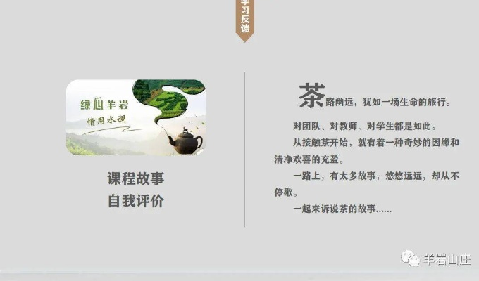 羊岩山茶叶品牌大盘点，品味千年古韵，尽享茶香四溢