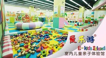 安徽阜阳乐高早教加盟店，点亮孩子成长的多彩世界