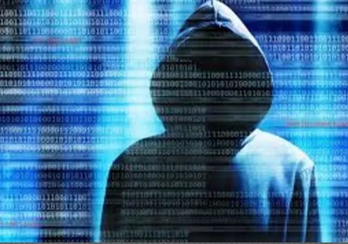 揭秘网络黑客的神秘联系，揭秘他们的联系方式与真实案例