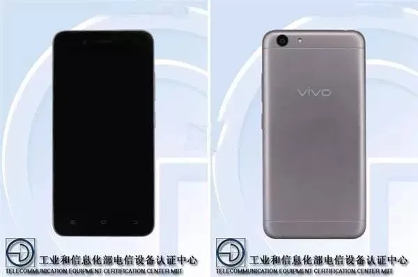 VPS与物理机大揭秘，如何一眼辨出你的服务器身份
