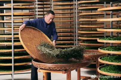 探寻干炒茶叶的茶具品牌—品味传统与创新的交融