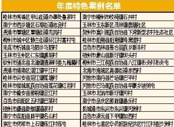广西乡村振兴助理待遇大盘点，福利待遇一览表及案例分析