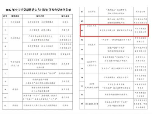 广西乡村振兴助理待遇大盘点，福利待遇一览表及案例分析