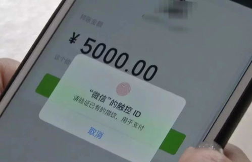 微信分付提现秒到账二维码