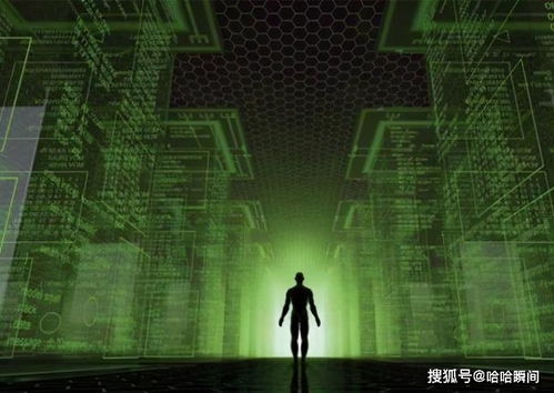 揭秘顶级黑客高手全天服务的神秘世界