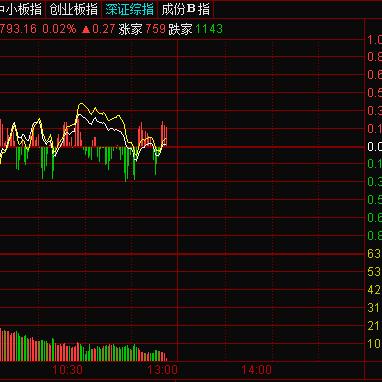 证券公司助力乡村振兴，多措并举，共绘美好乡村图景