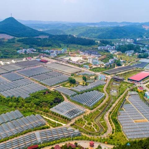 一图看懂乡村产业振兴之路