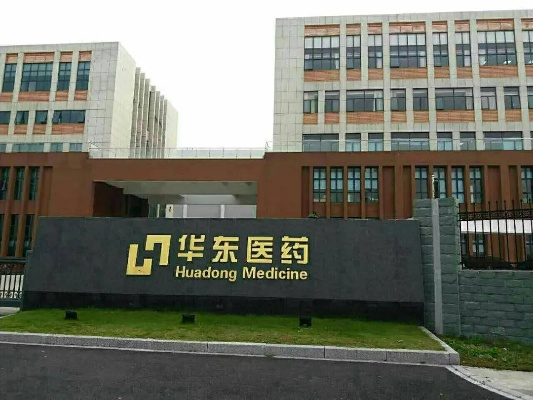 华东医药品牌总监是谁？