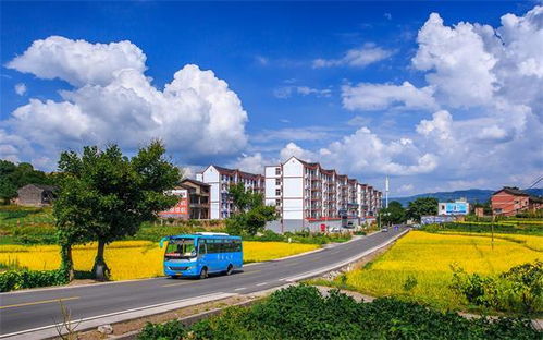 美丽乡村，幸福家园的画卷—走进乡村建设新篇章