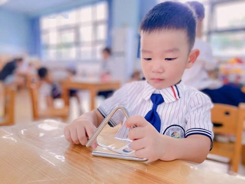 阿拉善盟云南早教加盟，开启孩子成长新旅程