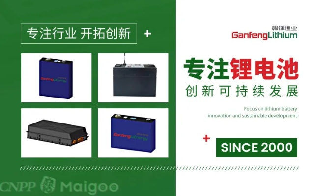 锂电池产品加盟品牌大全，热门选择与案例解析