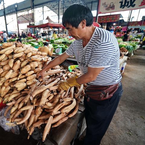打造品牌茶叶的五大策略，从种植到市场的全方位攻略