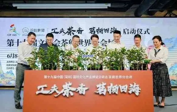 六大茶系融合，打造跨界茶叶新品牌—一场味蕾与文化的盛宴