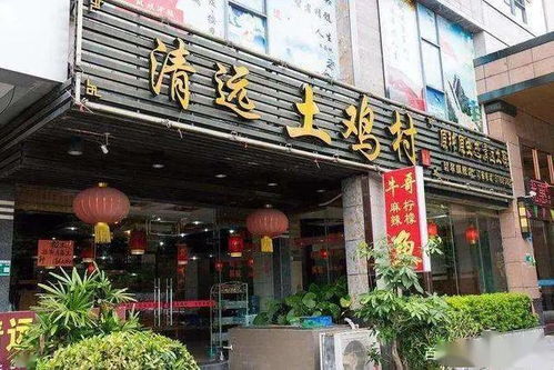 清远白酒品牌加盟店推荐—探秘城市中的美酒传奇