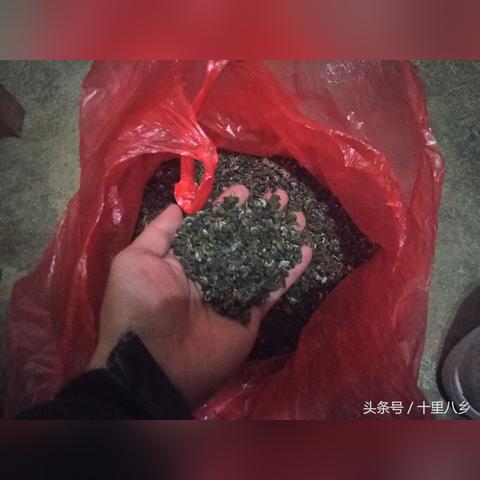 盘点高端迷你茶叶罐品牌，品味生活从一罐开始