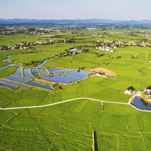 学校如何助推乡村振兴，从课堂到田野的实践与探索
