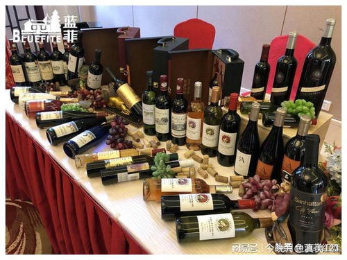 探索望远红酒加盟店热门品牌