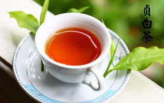泉州茶叶品牌全解析，从传统老字号到新兴网红茶饮的江湖风云