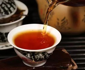 泉州茶叶品牌全解析，从传统老字号到新兴网红茶饮的江湖风云