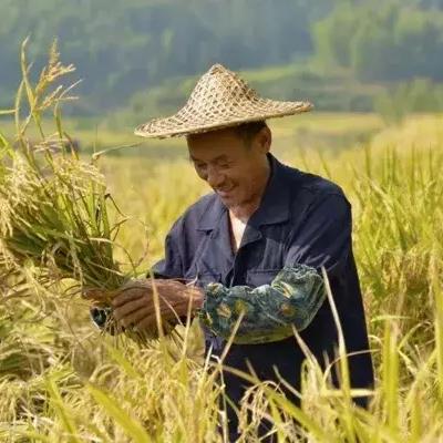 人才振兴是乡村振兴的第一引擎