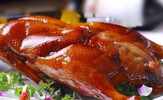 盐城大炉烤鸭加盟品牌大盘点