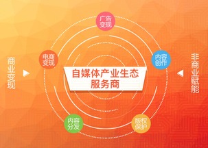 洛阳广告投放网站全解析，如何用数据精准触达百万游客？