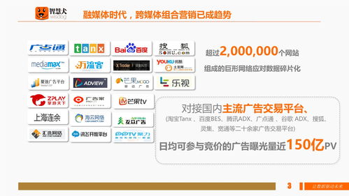 洛阳广告投放网站全解析，如何用数据精准触达百万游客？