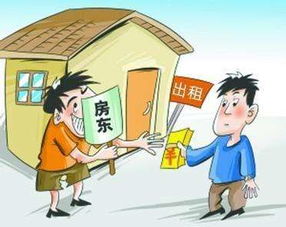租房小贴士，羊小咩便荔卡套出来