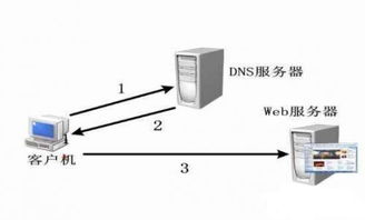 信誉黑客在线联系方式全解析，如何识别、防范与应对