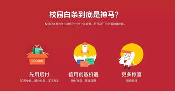 京东白条的奇妙取现之旅