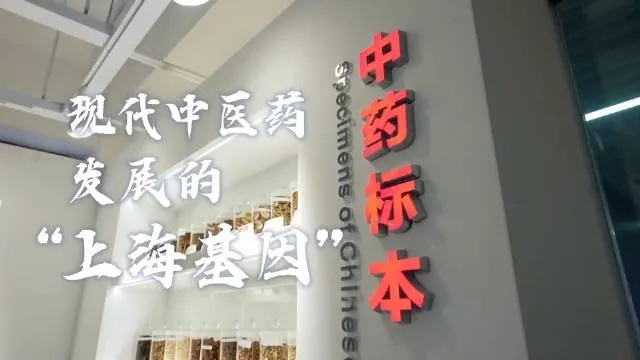 上海中医药的瑰宝