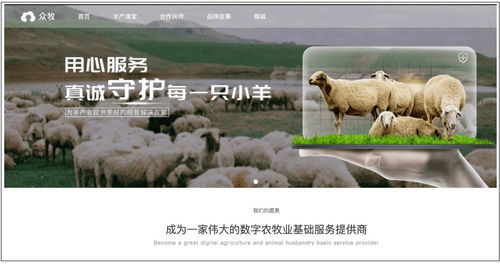 羊小咩便荔卡的交易与提现之旅