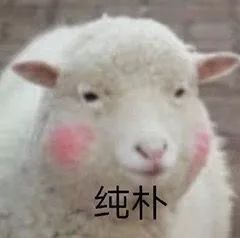 羊小咩便荔卡的交易与提现之旅