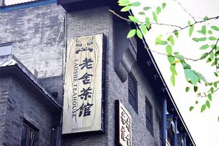 茶馆主打的茶叶品牌有哪些？揭秘爆款背后的选品逻辑与顾客故事