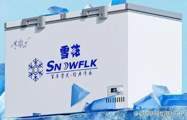 最适合冷冻的冰箱品牌推荐，选对品牌，冻品保鲜更长久