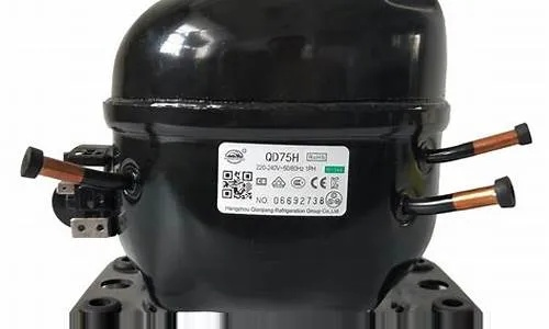 德国冰箱低压压缩机品牌全解析，技术、品牌与选购指南