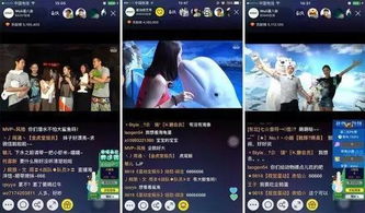 手把手教你用虎牙直播开启你的直播之旅，从零到百万粉的实战指南