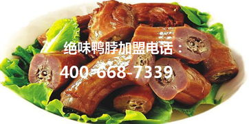 山东加盟鸭脖品牌大全
