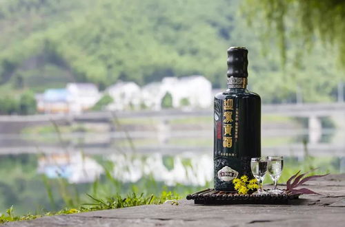 全球医药品牌大比拼，谁才是你的健康守护神？